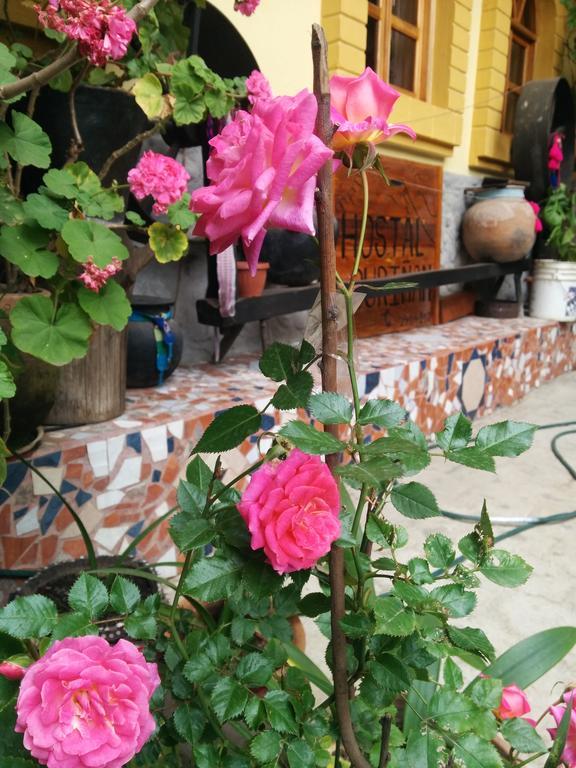 Hostal Curinan Otavalo Ngoại thất bức ảnh